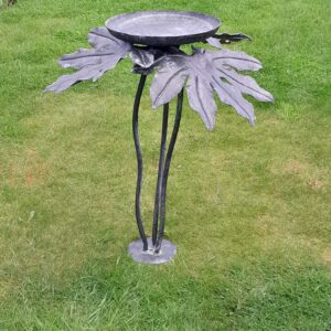 Fatsia bird bath